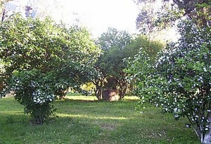 Pousada Chacara Das Roseiras Bagé Екстериор снимка